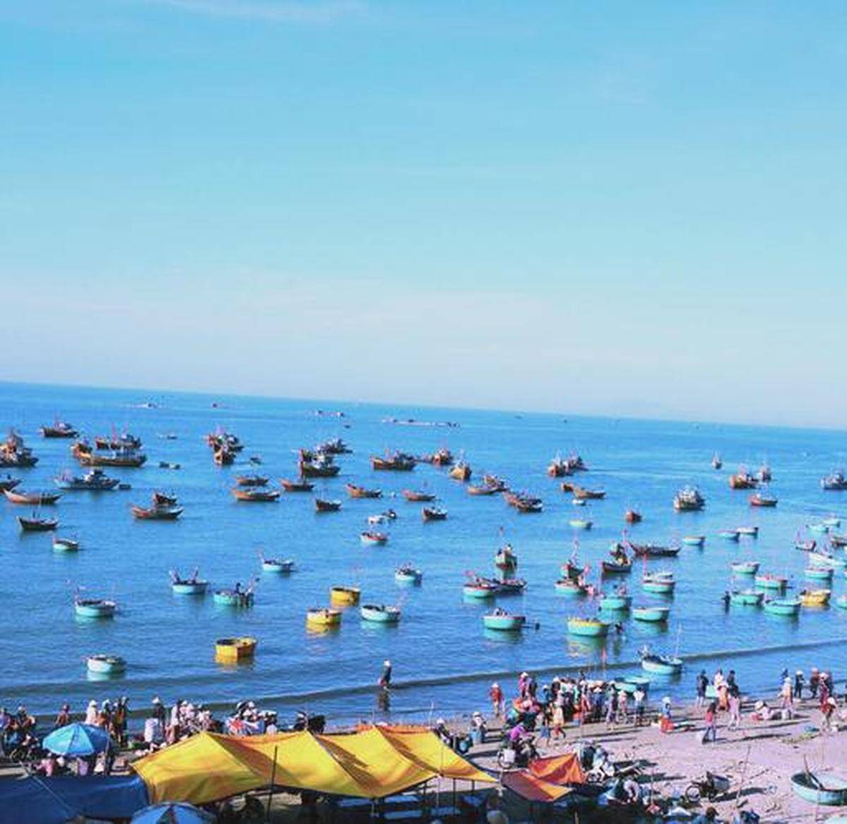 越南之旅体验异国风情J9国际网站北海启程(图3)