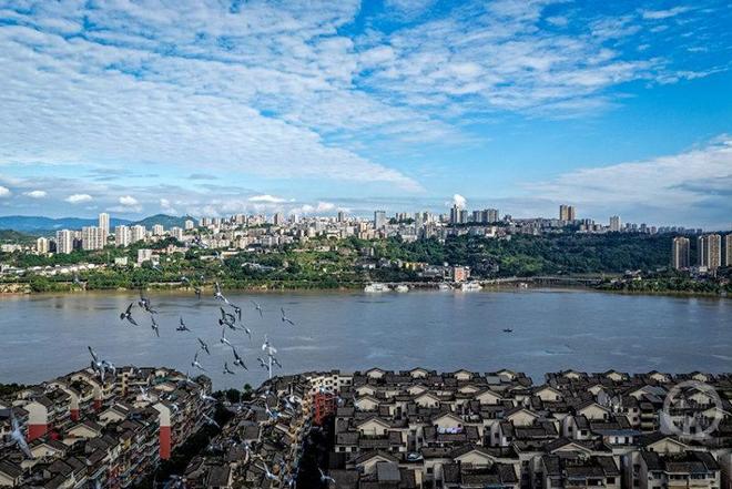 主题摄影征稿作品展——张颂东作品九游会J9秋韵（443） 上游(图5)