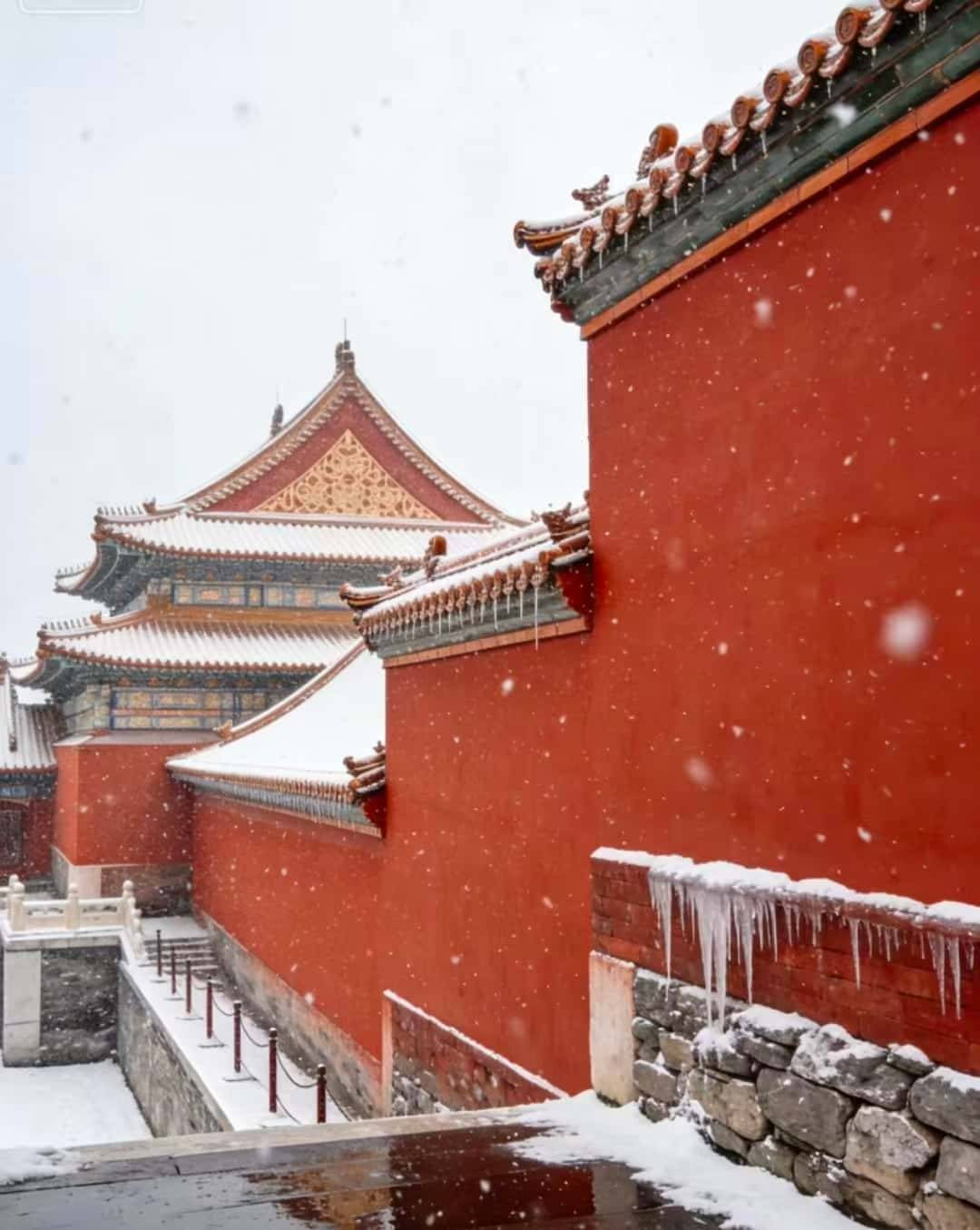 晚私人定制 亲测小众胡同 + 科技艺术展 避坑指南推荐j9平台北京高端旅行奢华攻略！住北京瑰丽酒店 五天四(图2)